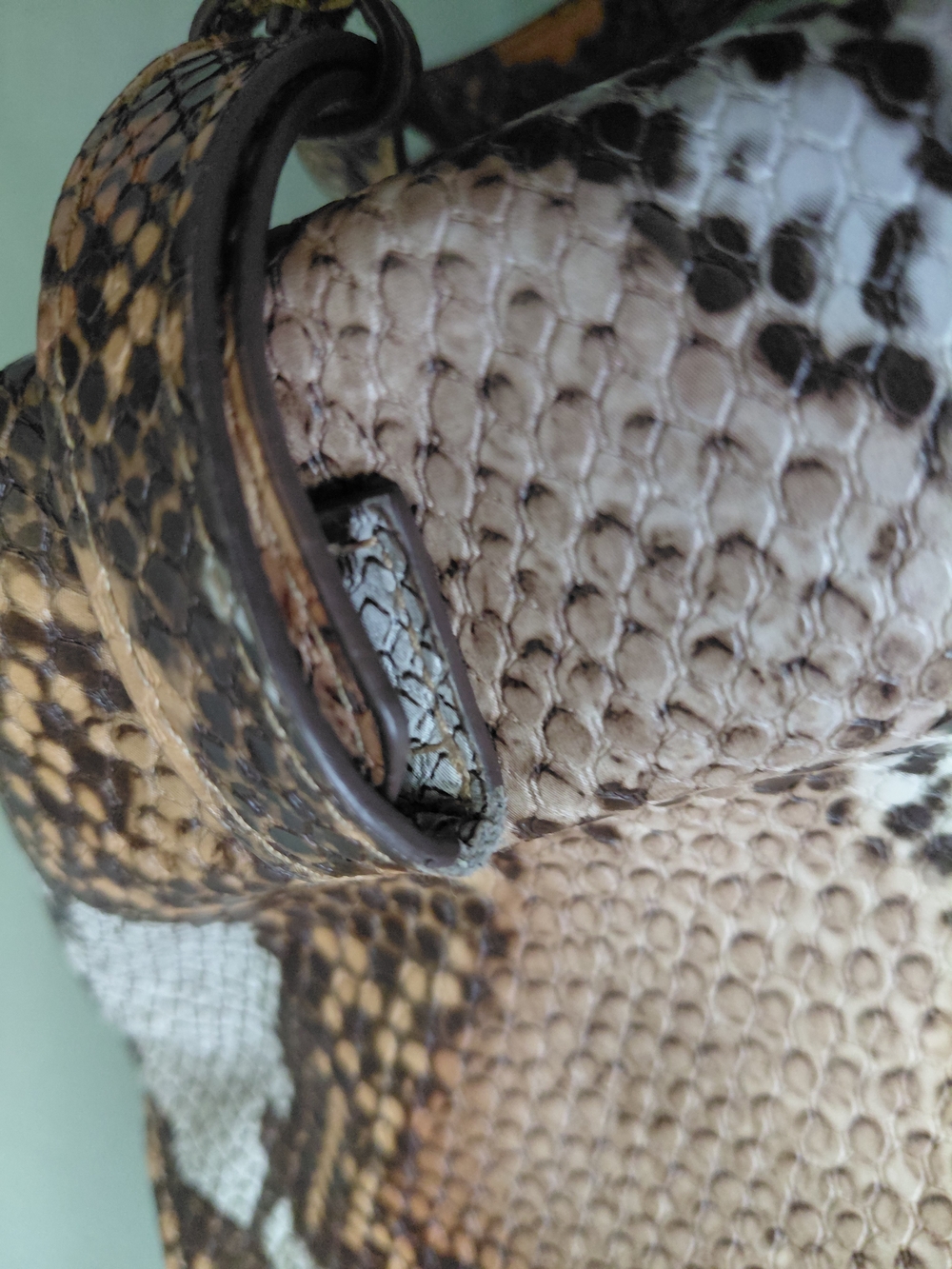 Snake-Print Backpack - Picture 11 of 11